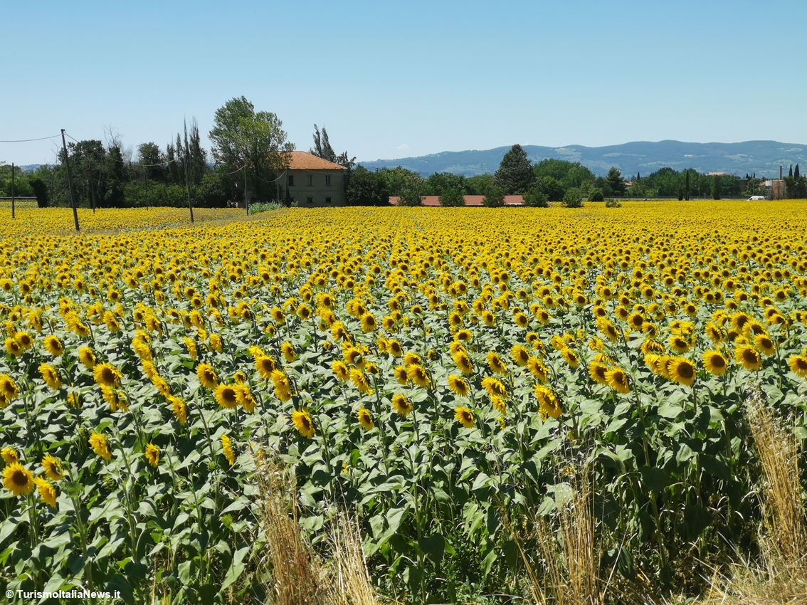 L’agriturismo vola verso i 2 miliardi di valore: al via ad Arezzo AgrieTour, Salone dell’agriturismo