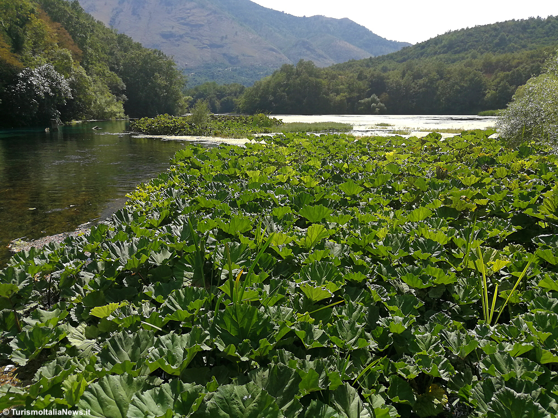 Blue Eye, la Natura ha un occhio azzurro: in Albania una sorgente sotterranea origina un fenomeno di grande attrazione