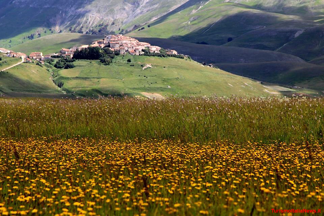 Piani di Castelluccio, la Fiorita è un miracolo della Natura: la policromia straordinaria delle tante specie floreali (foto Clelia Nocchi)