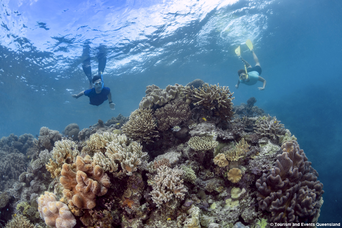 Go Australia è il primo tour operator a livello europeo a diventare membro di Ecotourism Australia