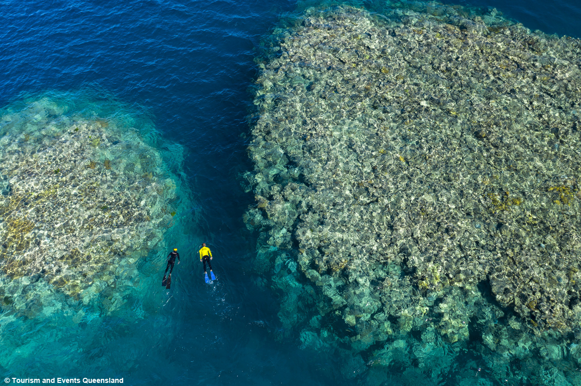 Go Australia è il primo tour operator a livello europeo a diventare membro di Ecotourism Australia
