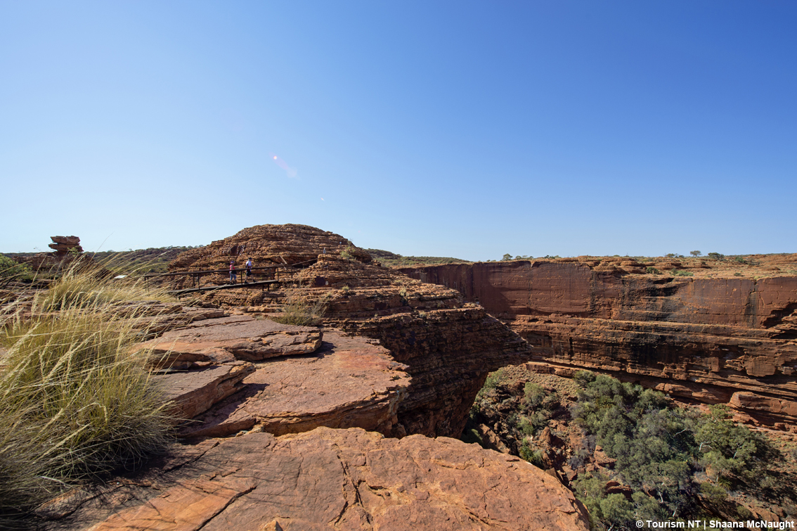 Go Australia è il primo tour operator a livello europeo a diventare membro di Ecotourism Australia