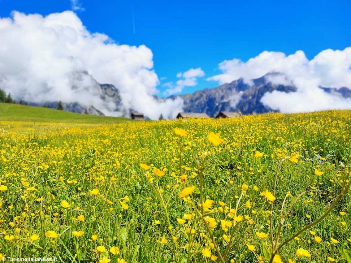 Spazi infiniti, profumi intensi e colori coinvolgenti: il parco naturale del Karwendel (il più grande dell'Austria) è il capolavoro di Hall-Wattens