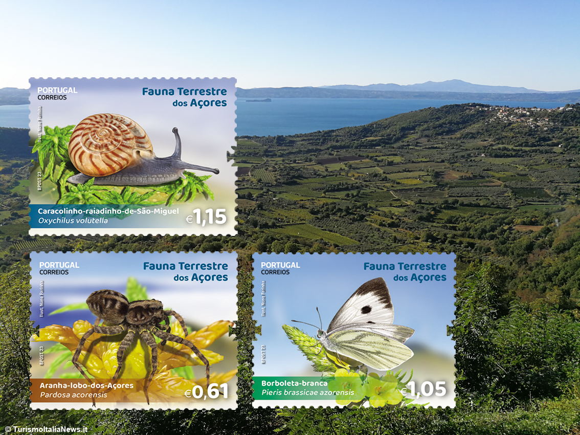 Azzorre, l’arcipelago della biodiversità: pluripremiata destinazione di turismo sostenibile, la sua fauna è da enciclopedia