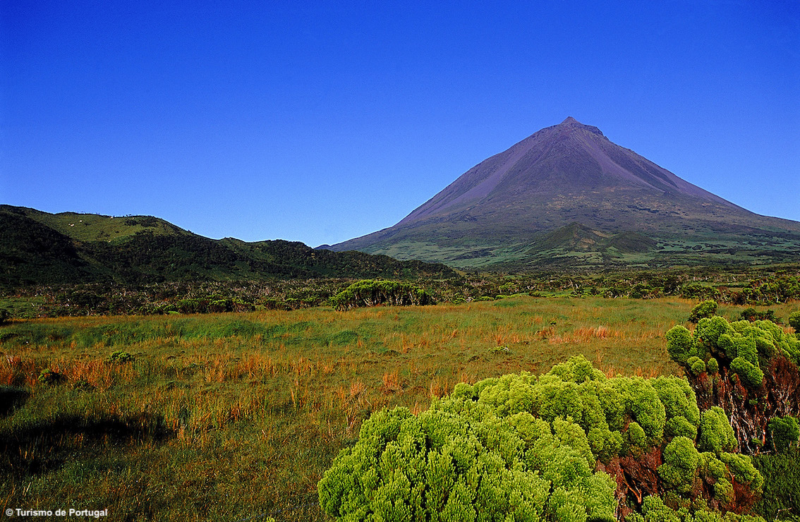 Azzorre, l’arcipelago della biodiversità: pluripremiata destinazione di turismo sostenibile, la sua fauna è da enciclopedia