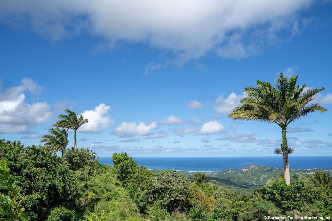 Viaggio nel cuore culturale di Barbados, dove il passato incontra il presente
