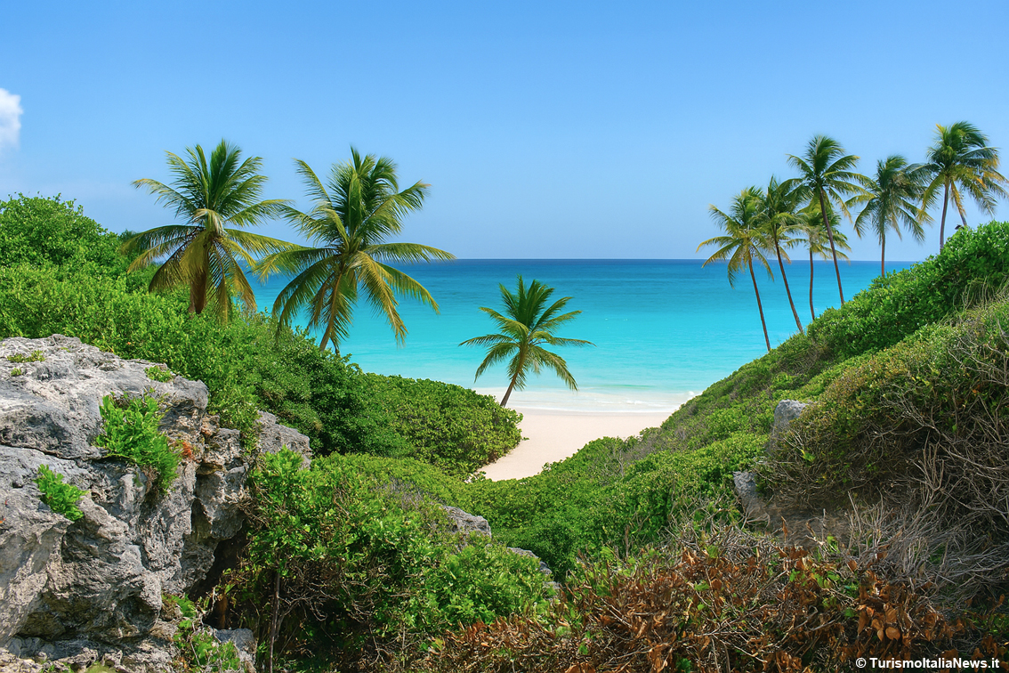 Barbados: spiagge di sabbia bianca, baie selvagge, trekking, surf e immersioni: la guida ai luoghi più meravigliosi