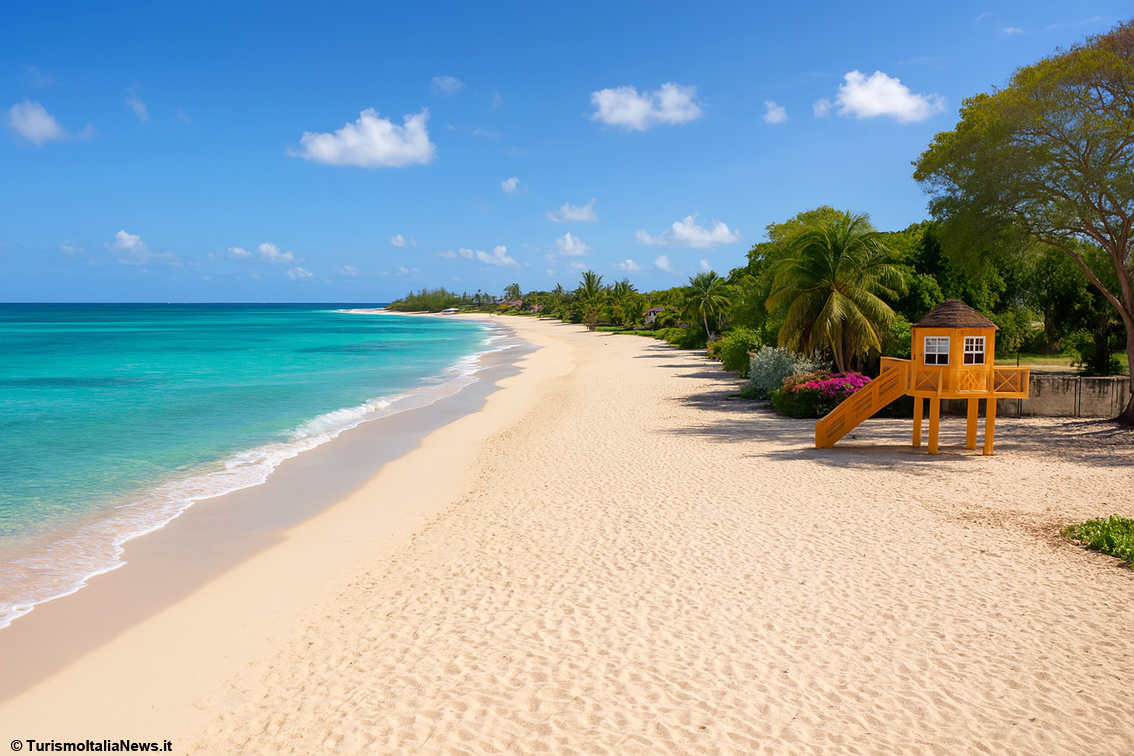 Barbados: spiagge di sabbia bianca, baie selvagge, trekking, surf e immersioni: la guida ai luoghi più meravigliosi