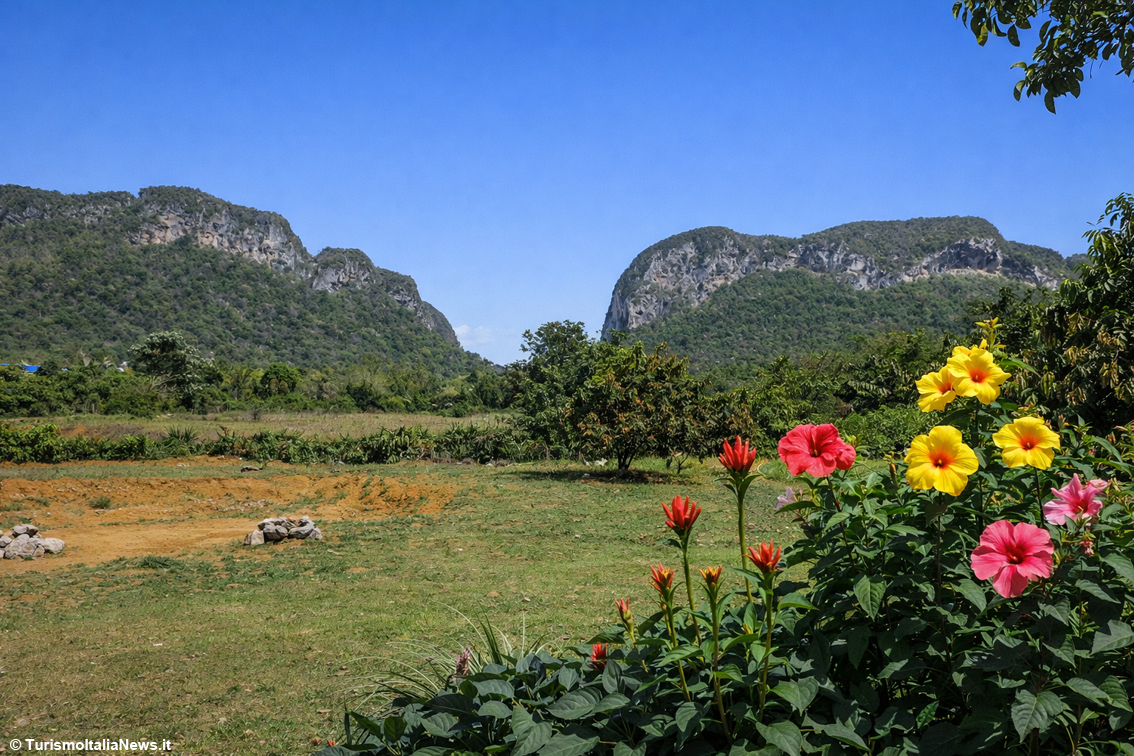 La Valle di Viñales, nella Sierra de los Organos (siamo quasi all'estremità occidentale dell'isola), è un altro luogo che merita di essere visitato