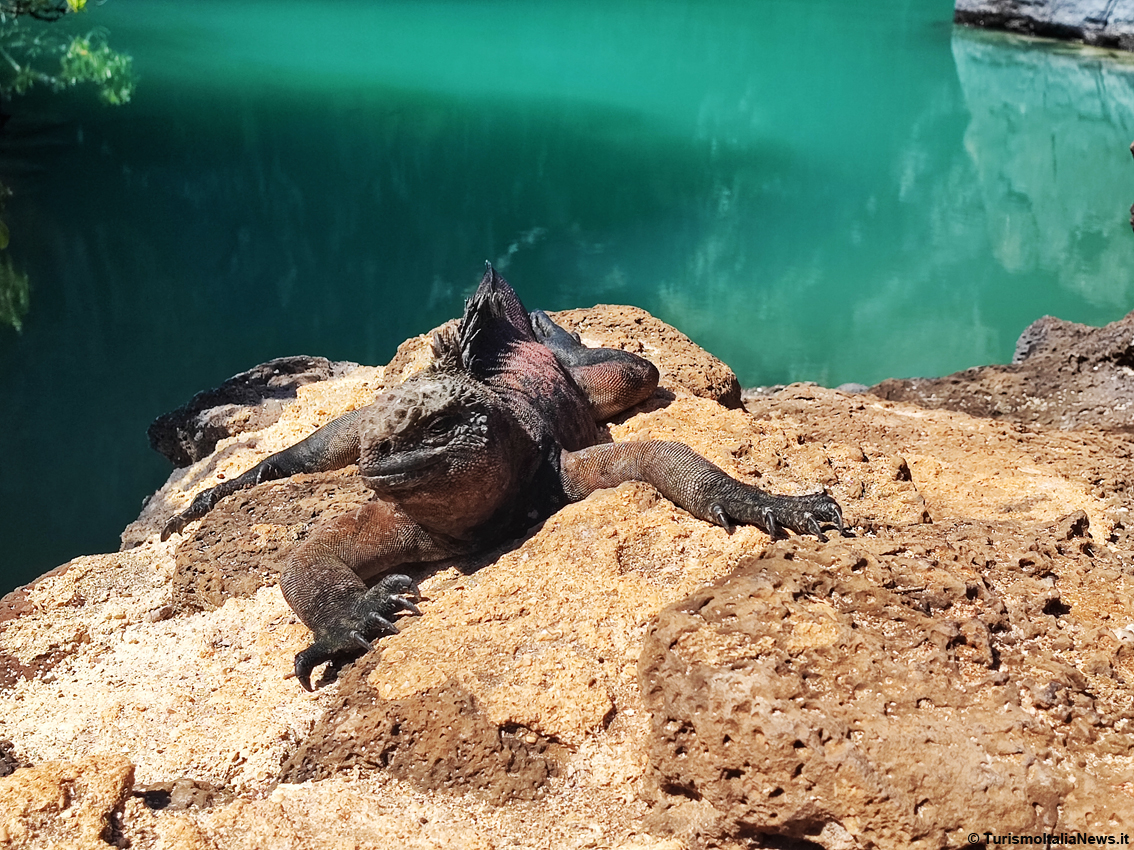 images/stories/ecuador/Galapagos_PlayaDeLosPerros_01.jpg