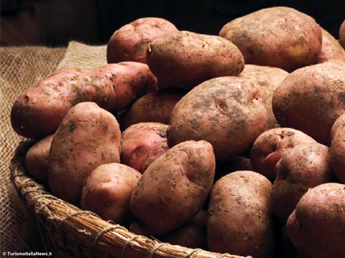 images/stories/enogastronomia/PatateRosseColfioritoIgp01.jpg