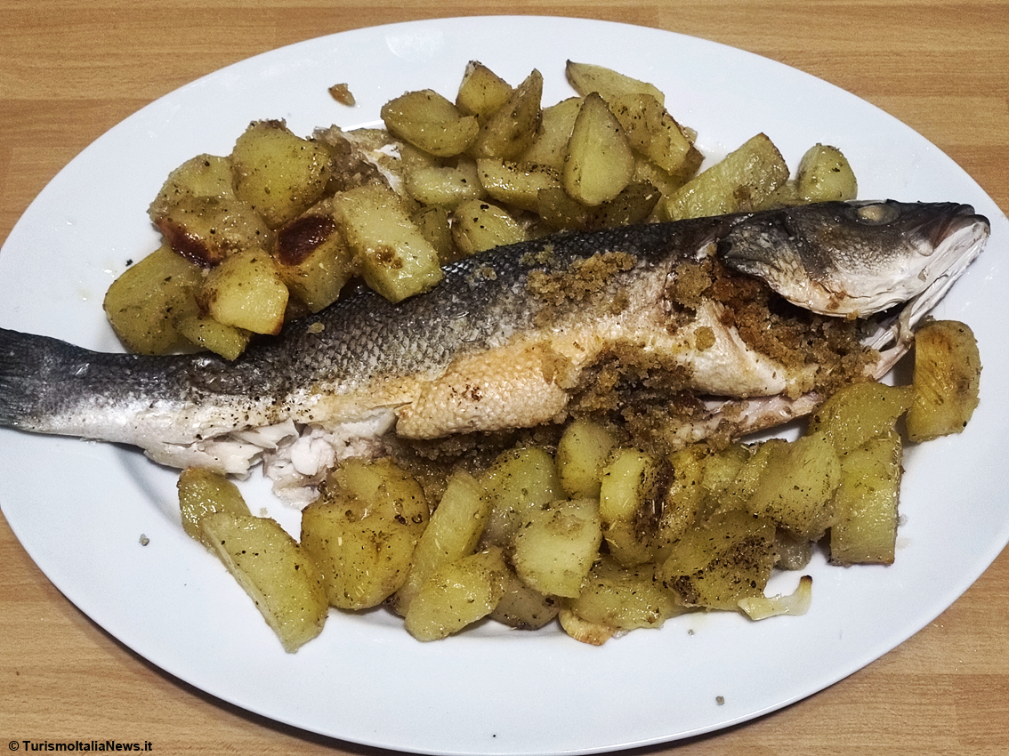 La Trota nuota e corre sui social: Sefro lancia la sfida al web con un contest dedicato al binomio creatività e acquacoltura