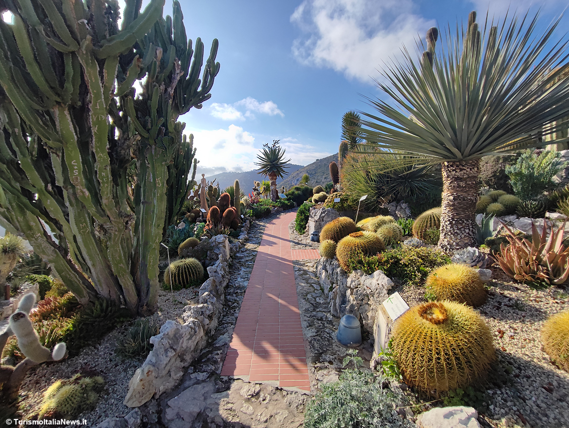 Un giardino esotico in Costa Azzurra: tra le vestigia dell'antica fortezza di Eze il paradiso verde che stupisce il mondo
