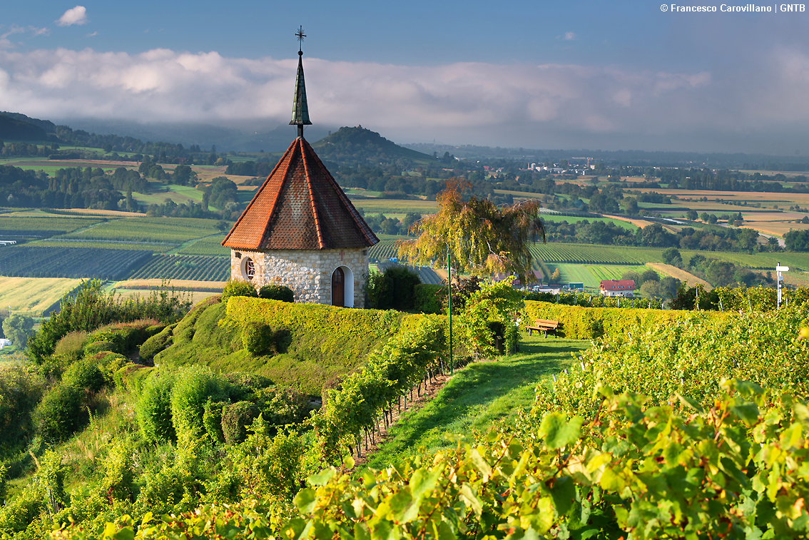 Germania, le Strade del vino anche in versione ciclo-escursionistica spunto ideale per wine tour originali e con sigillo di qualità