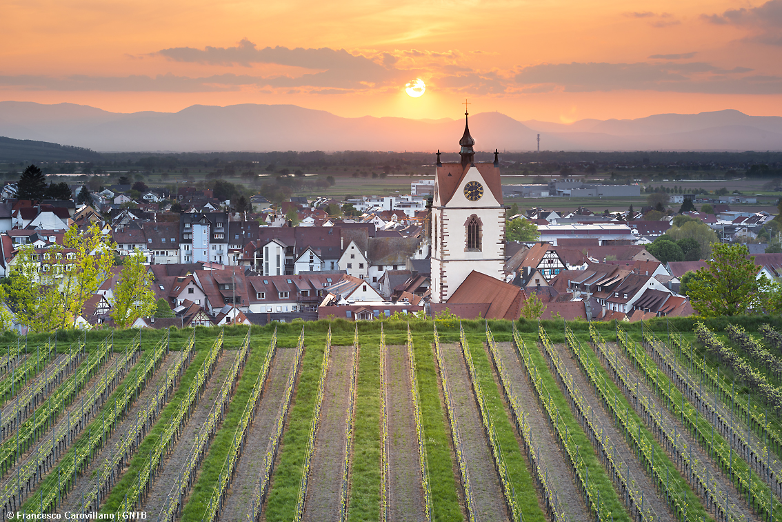 Germania, le Strade del vino anche in versione ciclo-escursionistica spunto ideale per wine tour originali e con sigillo di qualità