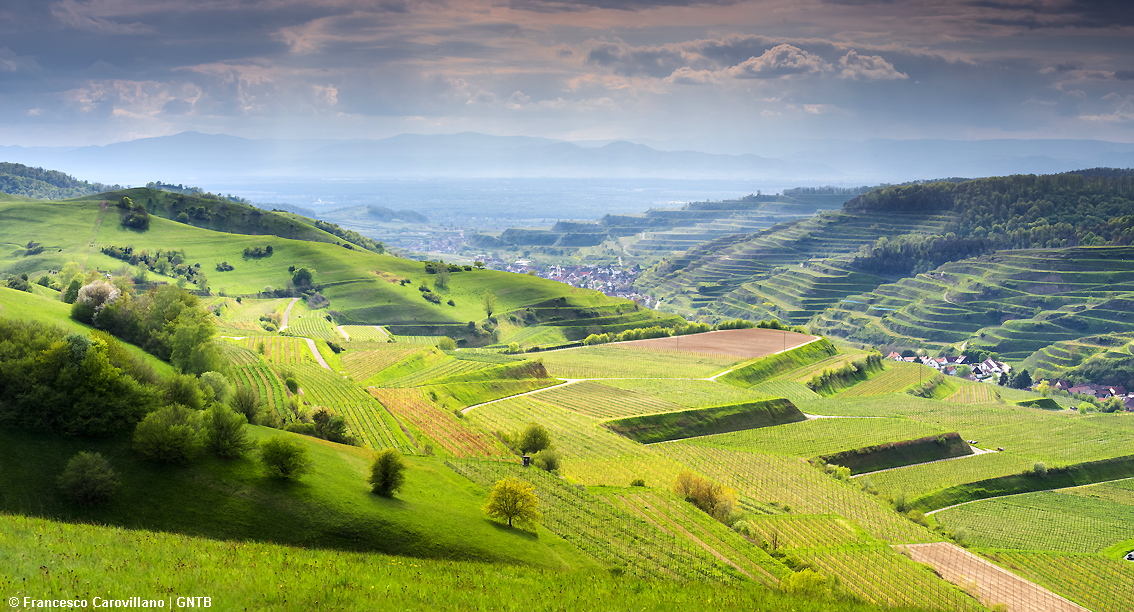 Germania, le Strade del vino anche in versione ciclo-escursionistica spunto ideale per wine tour originali e con sigillo di qualità