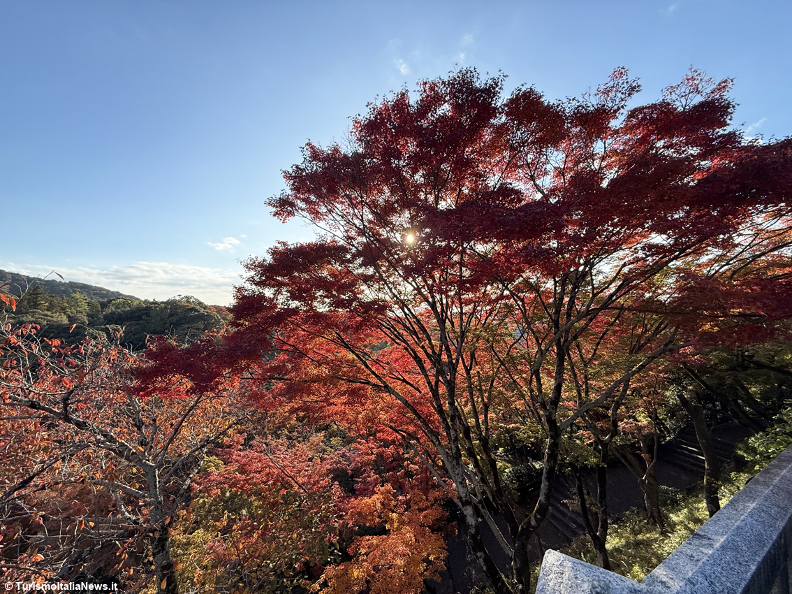 Kiyomizu-dera, il luogo dove la natura prega con te: l’incanto di Kyoto tra foliage, ciliegi in fiore e spiritualità