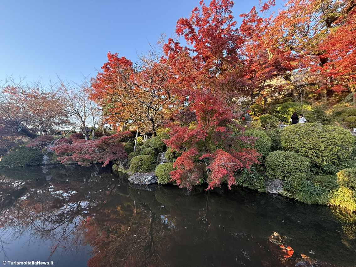 Kiyomizu-dera, il luogo dove la natura prega con te: l’incanto di Kyoto tra foliage, ciliegi in fiore e spiritualità