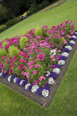 Dublino, Marrion Square Gardens