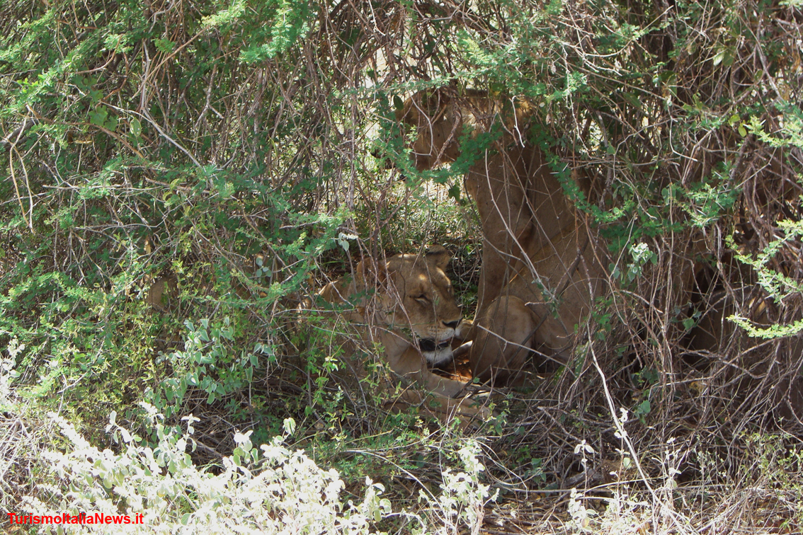 images/stories/kenya/Kenya5dim1134x756.JPG