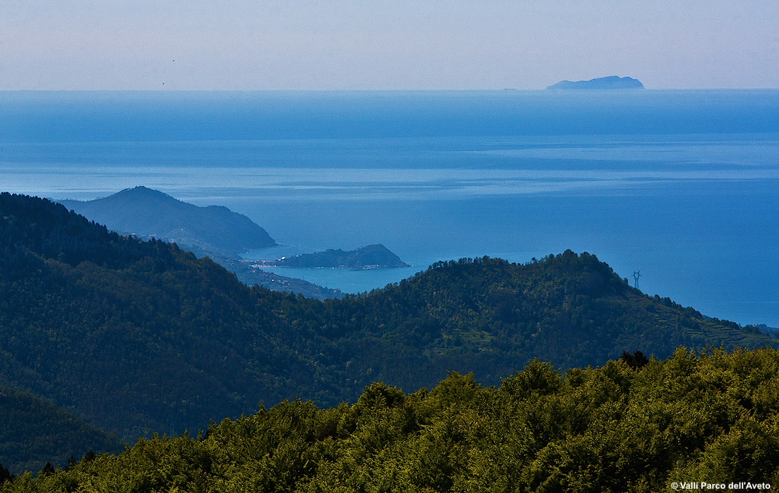 Liguria, nelle Valli del Parco Aveto prove di ripartenza: qui si seguono i ritmi positivi della natura