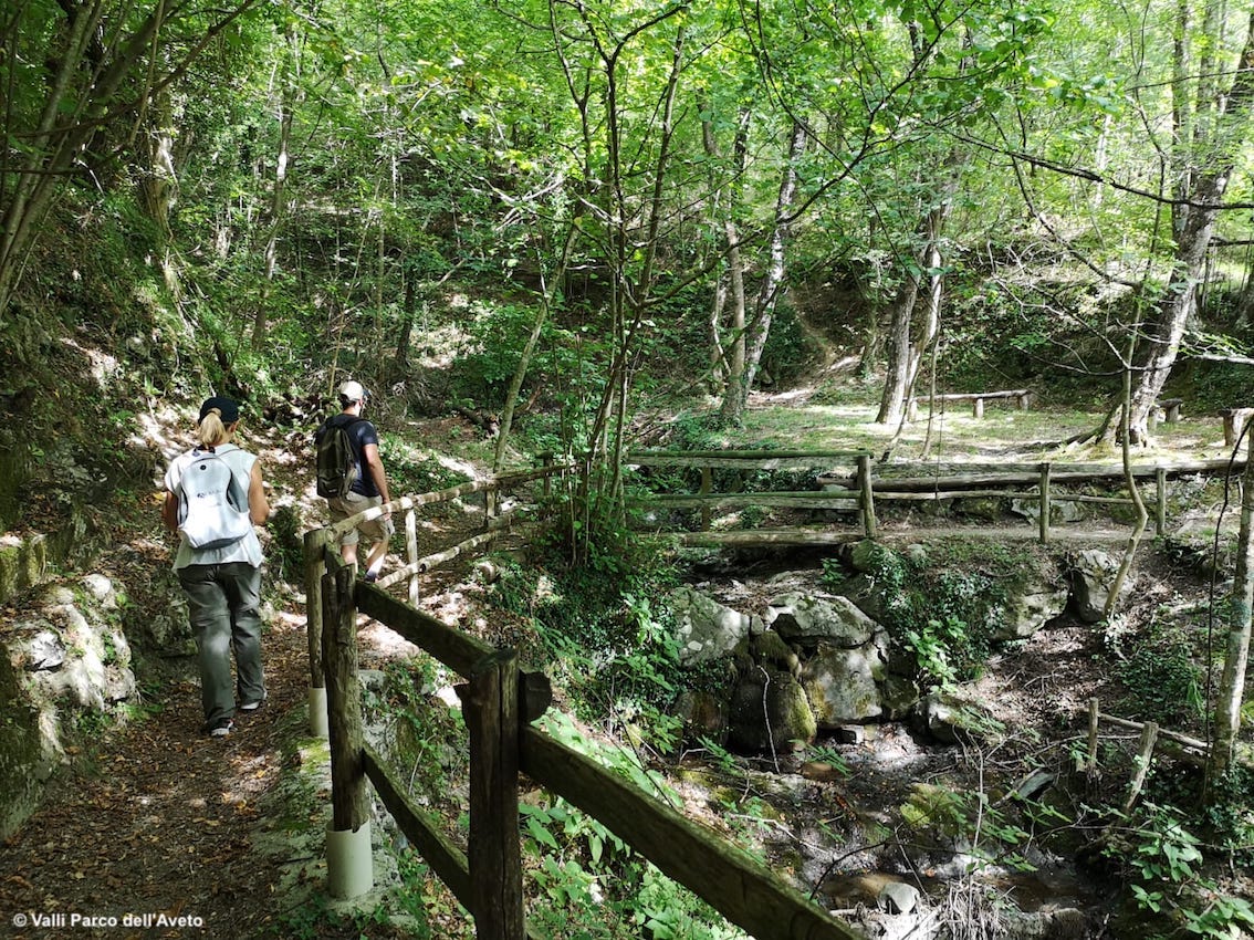 images/stories/liguria/ValliParcoAveto03.jpg