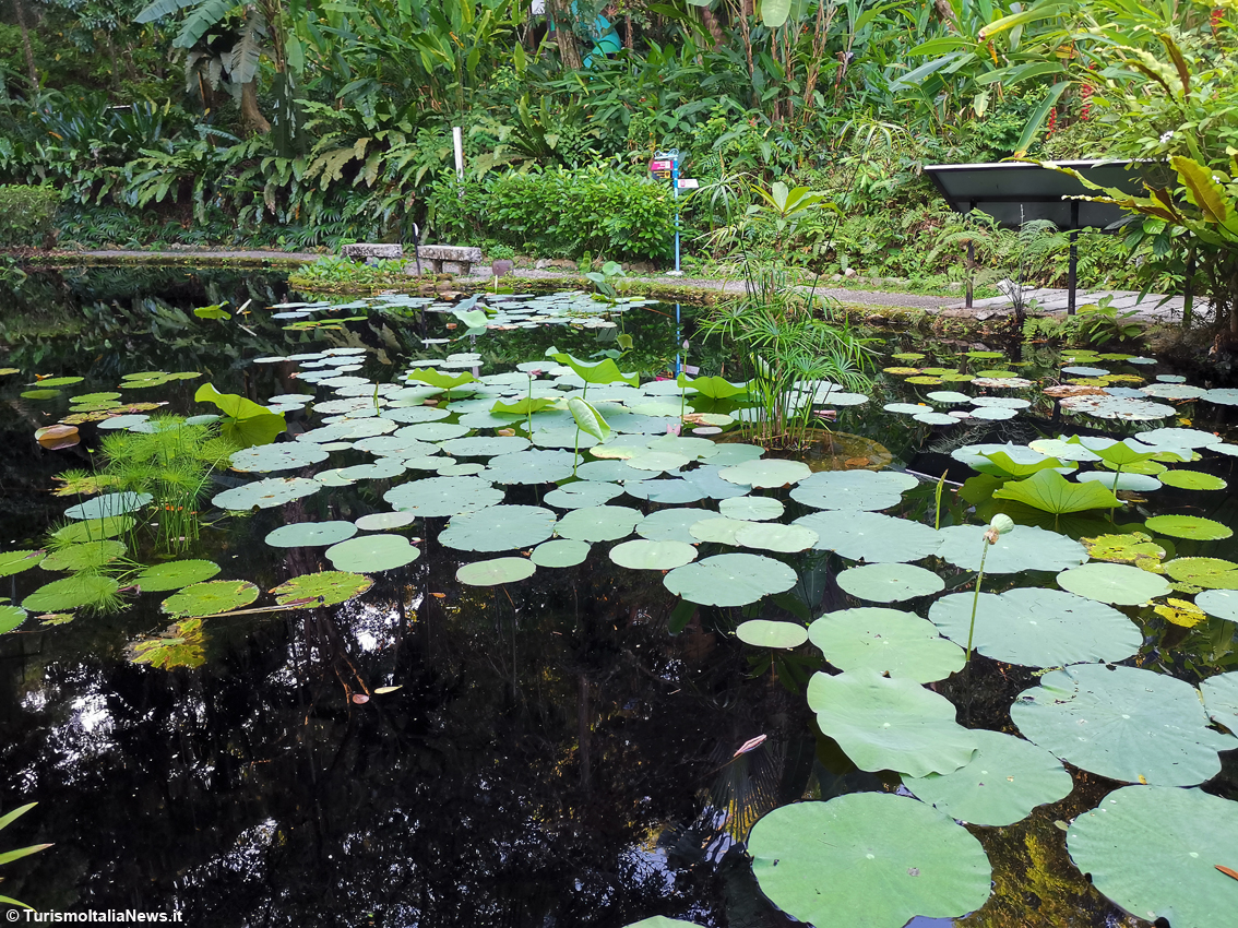 Malesia, da piantagione di gomma in disuso ad attrazione del Sud-est asiatico: ecco il Tropical Spice Garden di Penang 