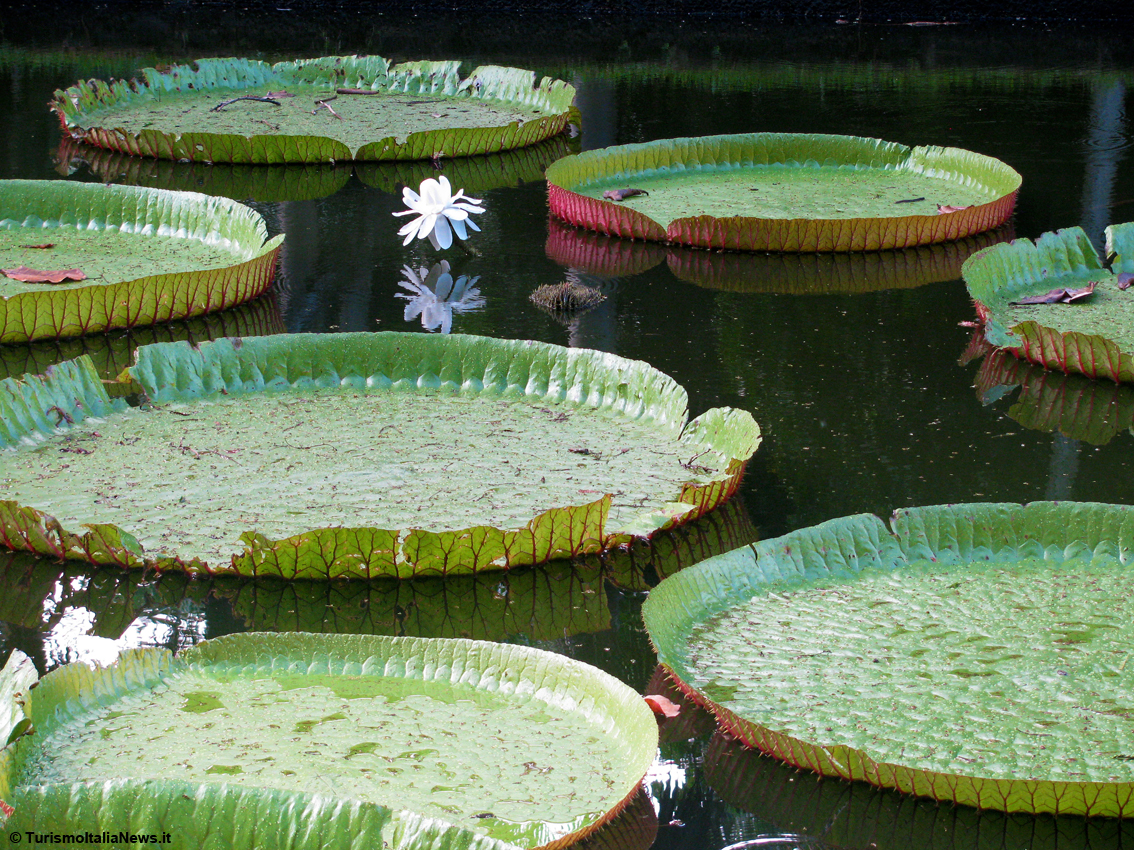 Air Mauritius riprende i voli da Roma a Mauritius a partire da ottobre 2024 e fino al 30 aprile 2025