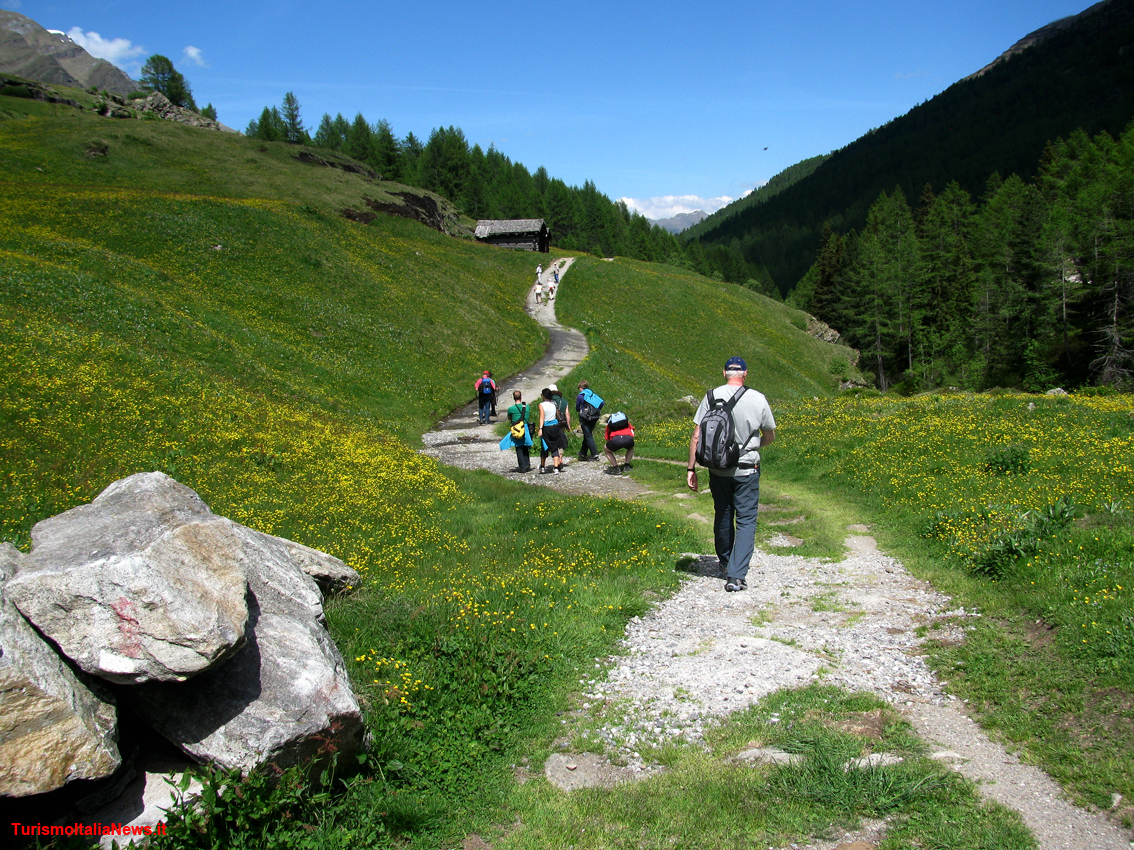 Wieser Werfer, il biotopo più suggestivo dell’area vacanze Valle Aurina, vero e proprio paradiso da percorrere a piedi nudi 