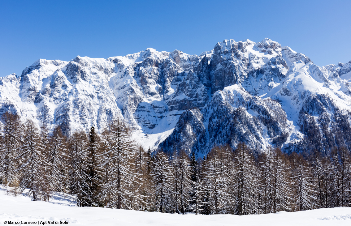La stagione dello sci entra nel vivo in Trentino: c'è voglia di tornare sulle piste, di provare emozioni forti infilando una curva dopo l'altra