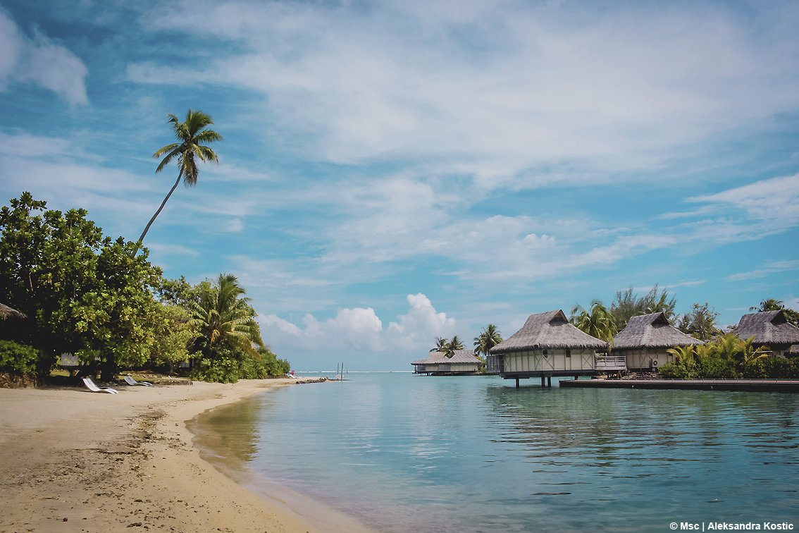 images/stories/msc_crociere/Msc_Moorea-_FrenchPolynesia.jpg