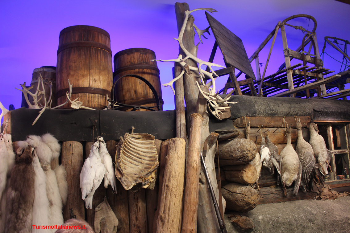 http://www.turismoitalianews.it/images/stories/norvegia/TromsoMuseoPolare04.JPG