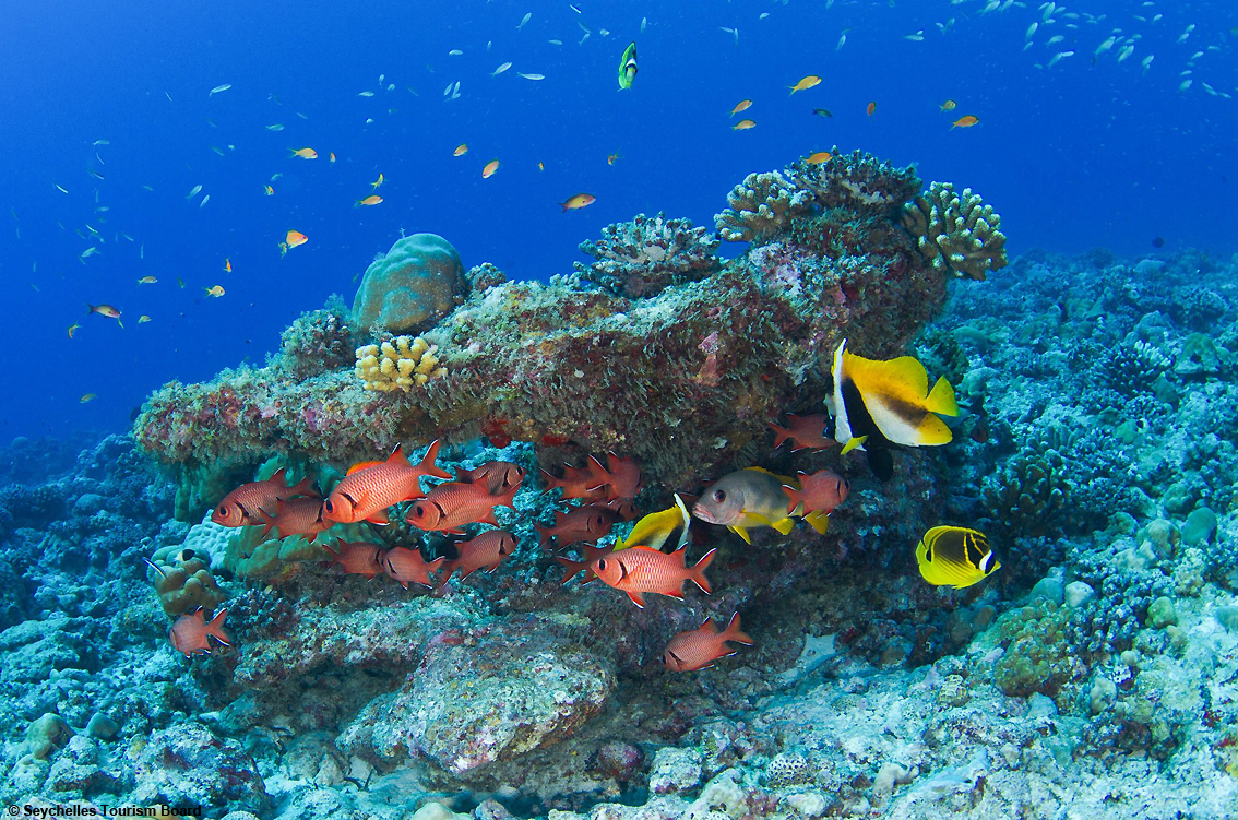 Natura spettacolare alle Seychelles