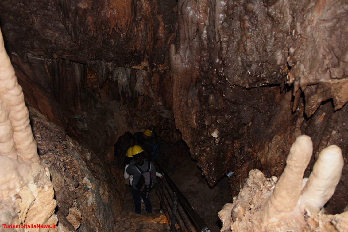 Nelle grotte di Equi Terme il gigantesco Orso delle caverne: nelle Alpi Apuane in migliaia di anni l’acqua ha scavato un altro mondo