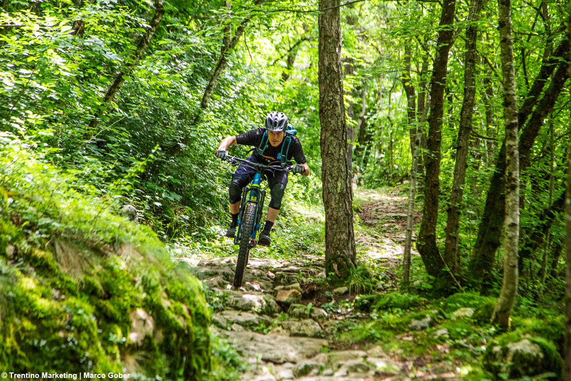 Un territorio da scoprire pedalando in piena libertà: ecco la Rete provinciale dei percorsi Mtb in Trentino