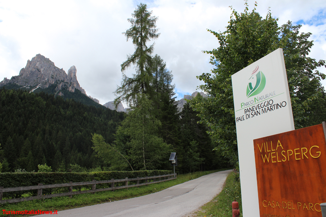 Assaggi di biodiversità nel Parco Paneveggio - Pale di San Martino, la magia della Natura in ventimila ettari