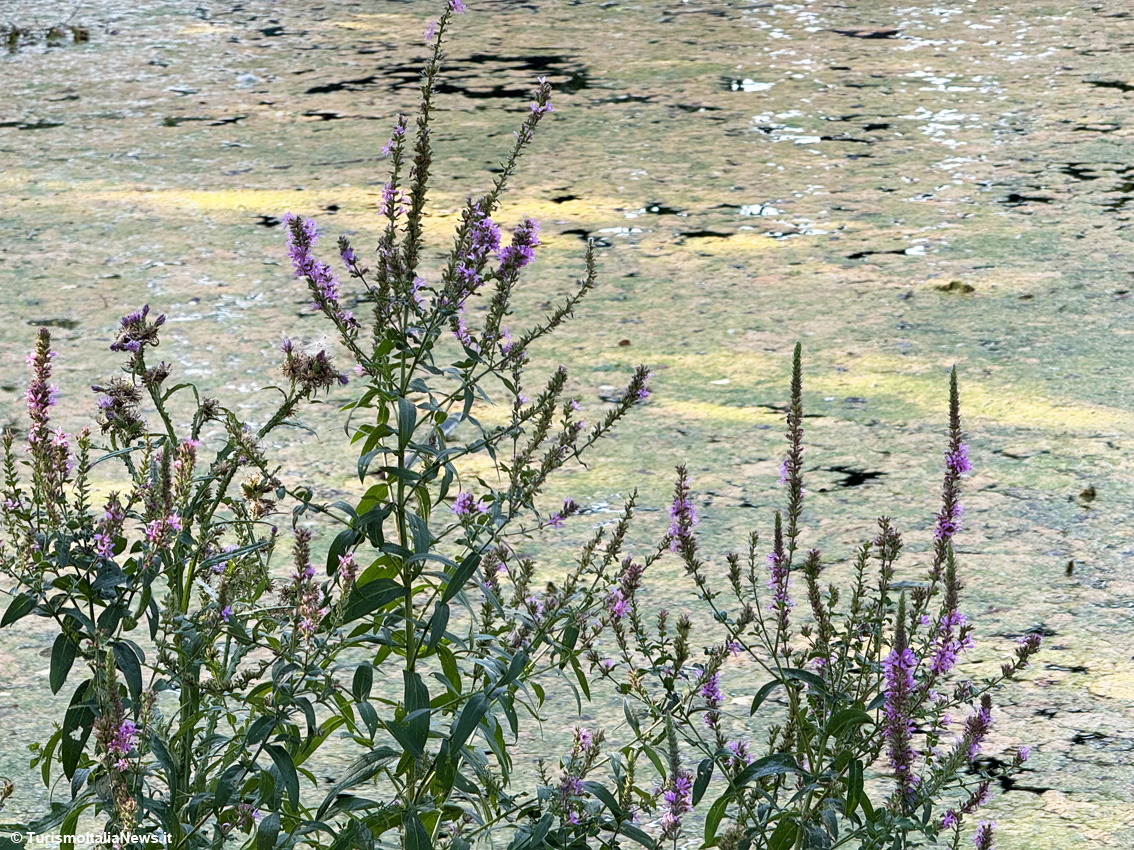 L’Aiso, il lago dell’Abisso: un viaggio nella leggenda tra le acque misteriose di Bevagna