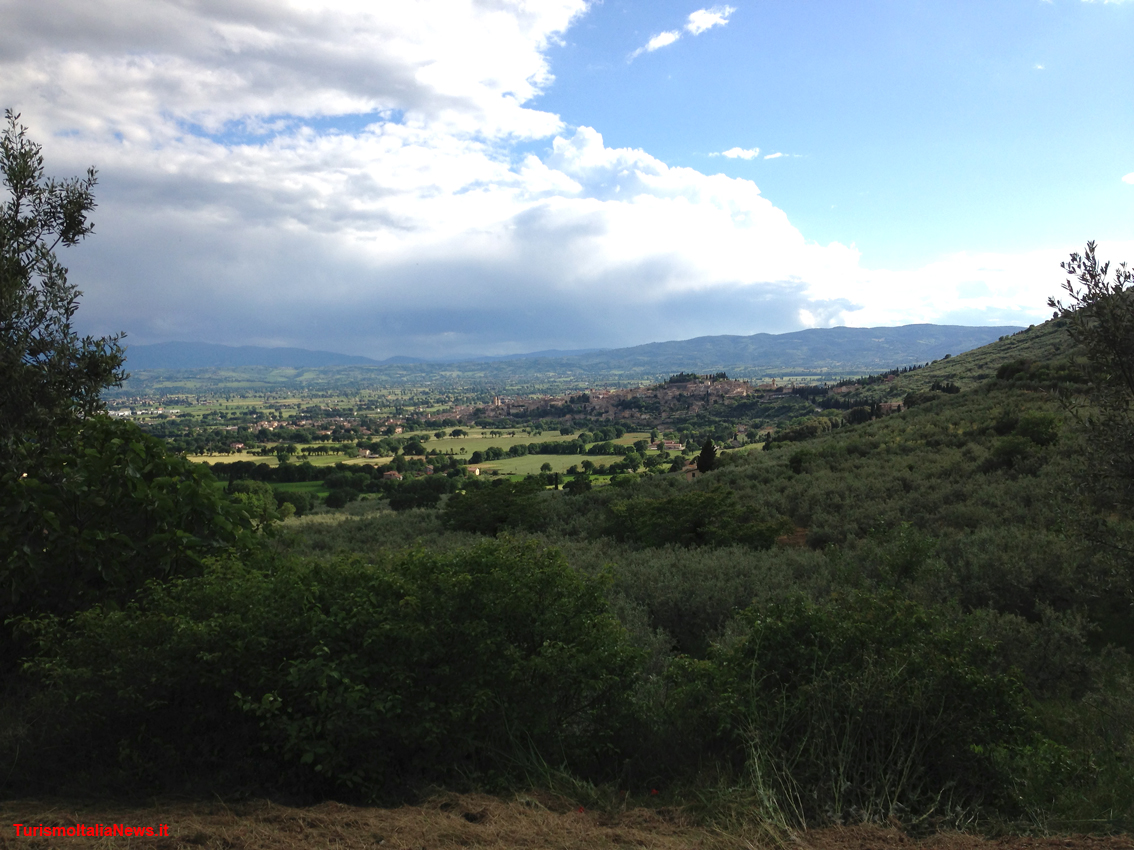 images/stories/umbria/SpelloPanorama1.JPG