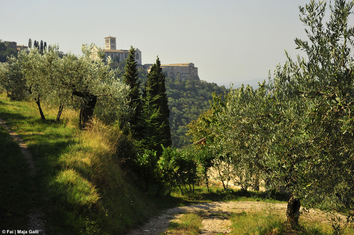 Assisi, il Bosco di San Francesco