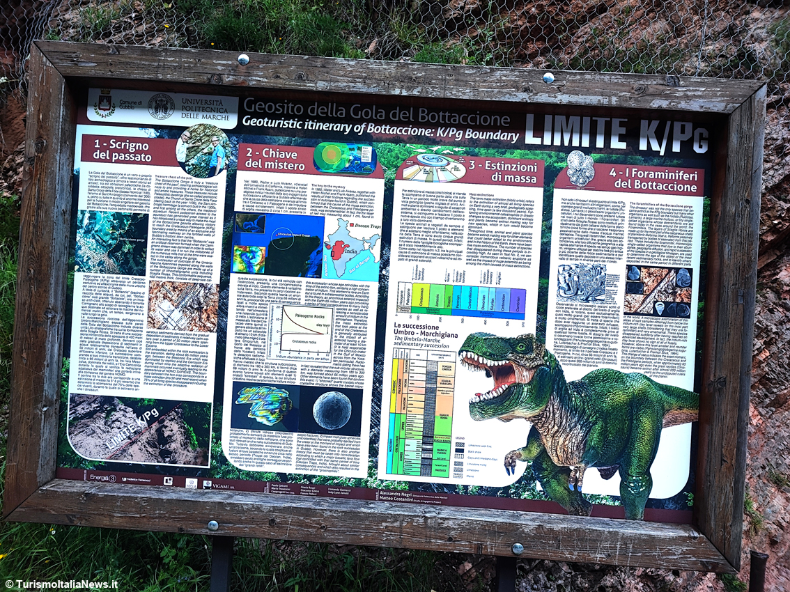 Gubbio: nel cuore della Gola del Bottaccione, dove la scienza incontra la meraviglia del paesaggio (e i dinosauri scomparsi)