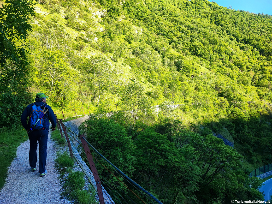 Gubbio: nel cuore della Gola del Bottaccione, dove la scienza incontra la meraviglia del paesaggio (e i dinosauri scomparsi)