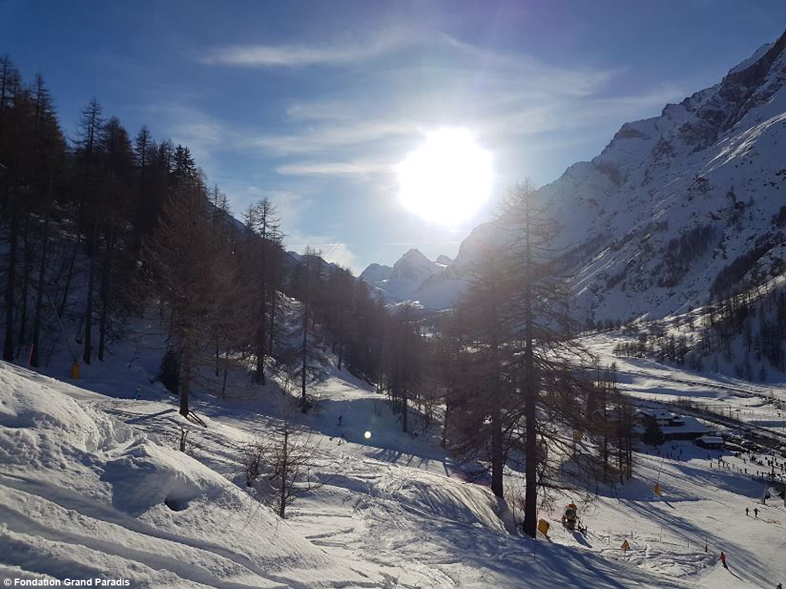 images/stories/valle_daosta/ParcoGranParadiso1.jpg
