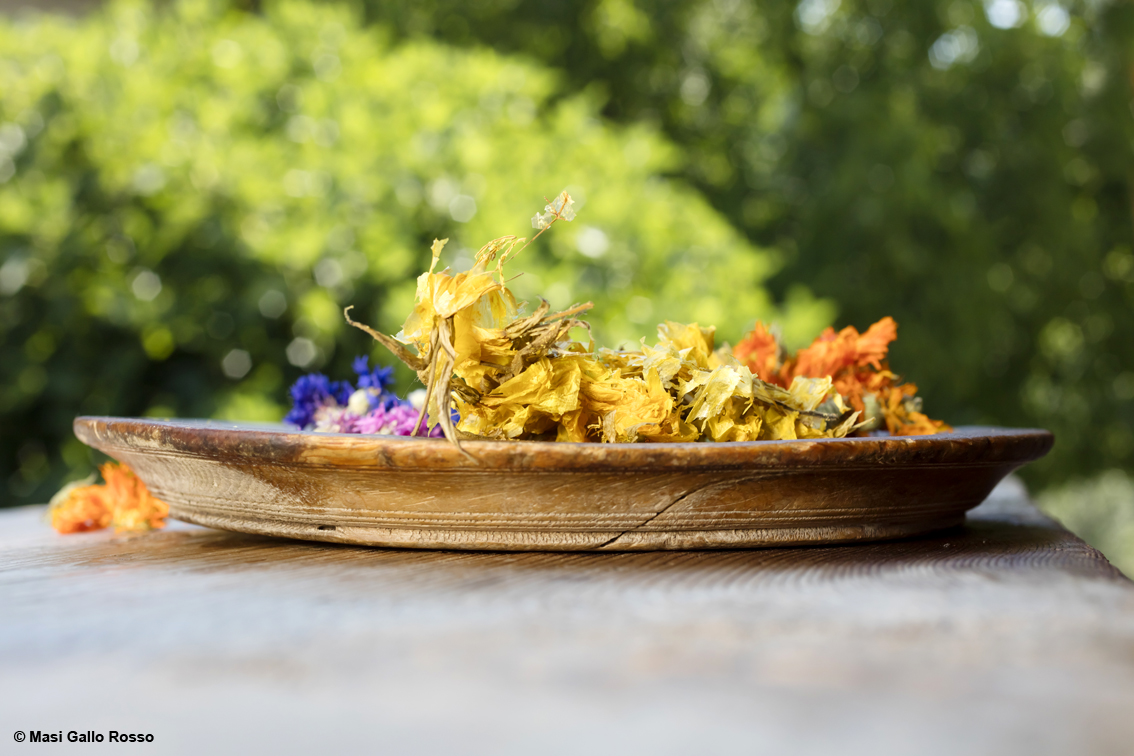 Miscele con erbe selvatiche e aromatiche di qualità dell'Alto Adige: gli infusi dei contadini di Gallo Rosso aspettando primavera