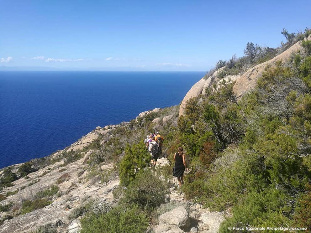 Il Parco dell'Arcipelago Toscana è un insieme di gemme naturali (foto Parco Nazionale Arcipelago Toscano)