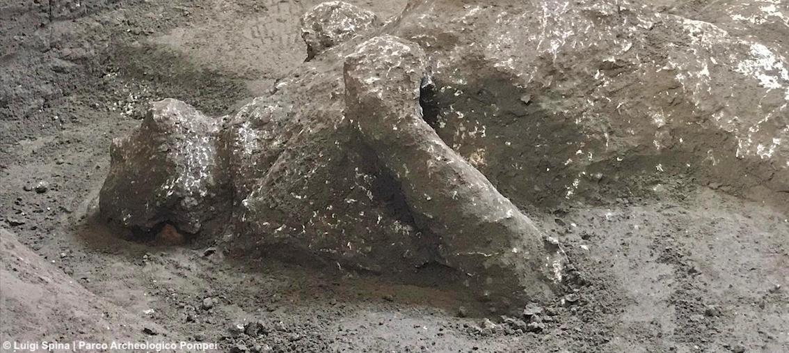 A Pompei ritrovati i resti di 2 uomini che tentarono di mettersi in salvo dall'eruzione del Vesuvio nel 79 a.C.
