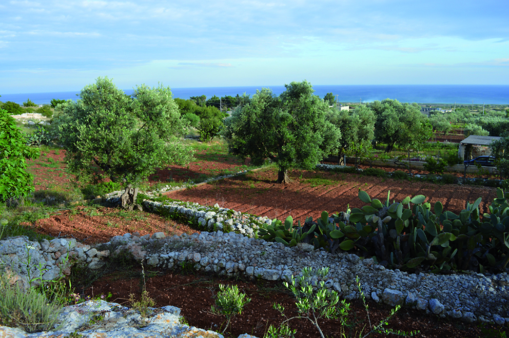 Mare e campagna a Salve