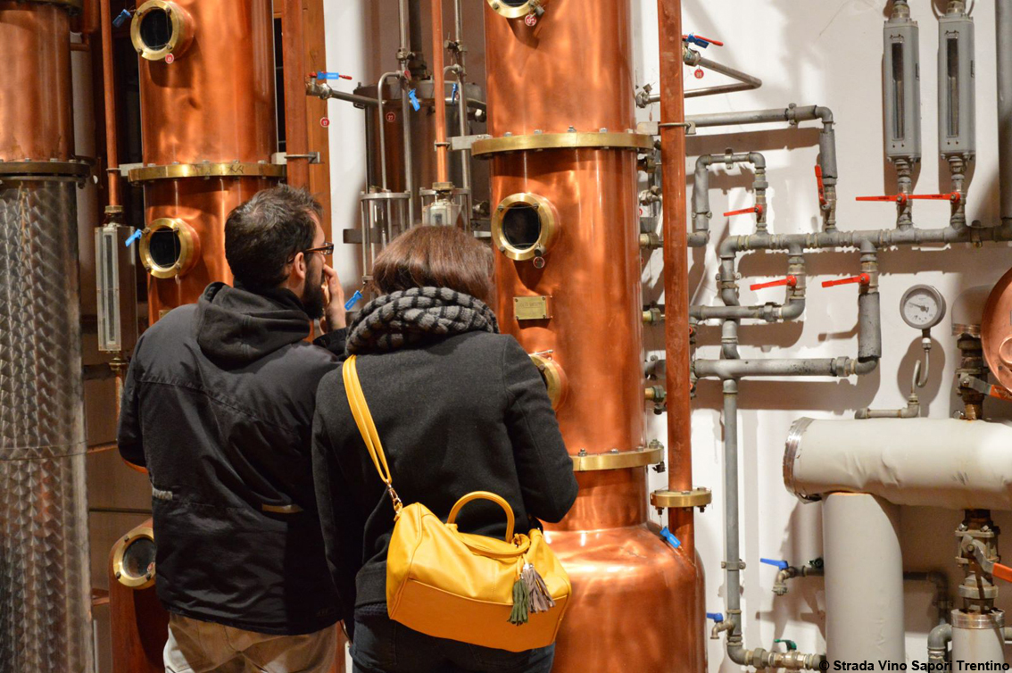 La magica notte degli alambicchi accesi: la #trentinowinefest dedicata alla grappa trentina