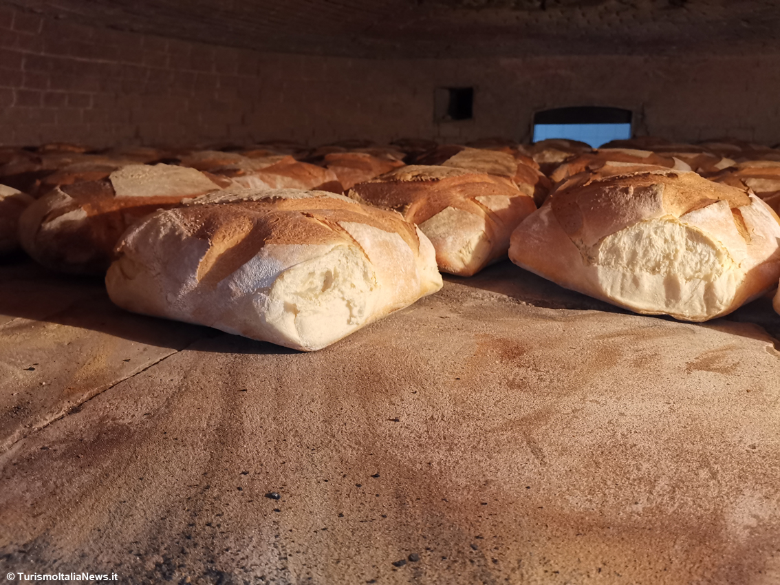 Il pane di Trecchina cotto a legna, prodotto dal panificio "Le Bontà Trecchinesi"
