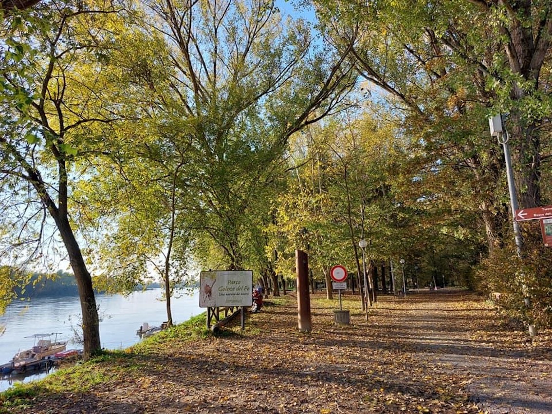 Parco della Golena del Po, Casalmaggiore