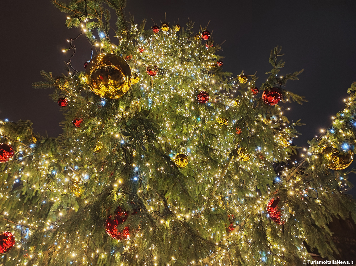 Profumo del bosco in casa: arriva l’Albero di Natale vero a noleggio da restituire al vivaio dopo le feste